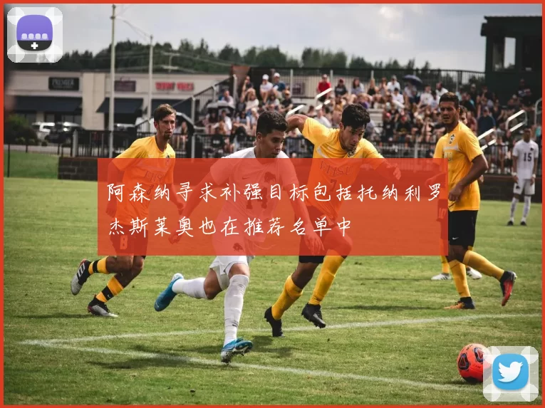 阿森纳寻求补强目标包括托纳利罗杰斯莱奥也在推荐名单中